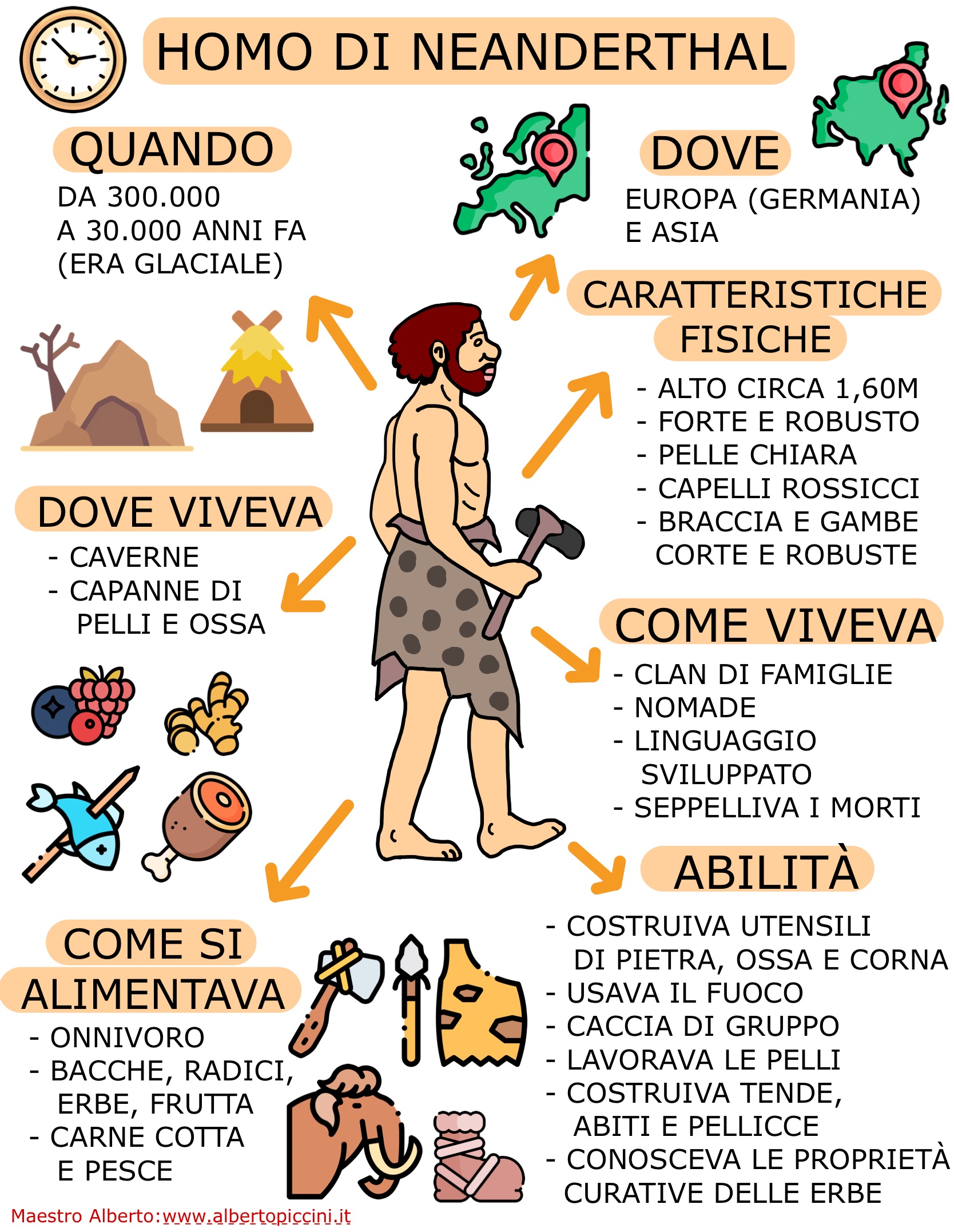 Infografiche E Schede Stampabili Per La Scuola Primaria: L’Homo Di ...